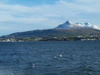 Walsafari bei Akureyri