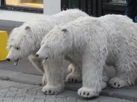 0144 Island -  Reykjavik - Fußgängerzone