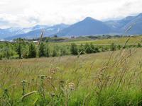 0156 Island -  Halbinsel Snaefellsnes -