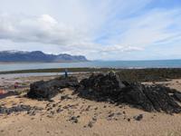 0186 Island -  Halbinsel Snaefellsnes - Strand