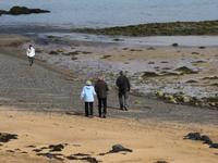 0187 Island -  Halbinsel Snaefellsnes - Strand