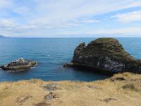 0199 Island -  Halbinsel Snaefellsnes - Arnastapi - Wanderung an der Steilküste