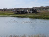 0200 Island -  Halbinsel Snaefellsnes - Arnastapi - Wanderung an der Steilküste