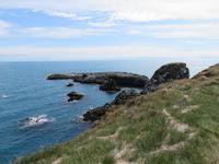 0210 Island -  Halbinsel Snaefellsnes - Arnastapi - Wanderung an der Steilküste