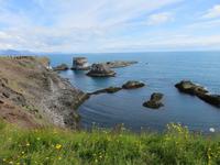 0216 Island -  Halbinsel Snaefellsnes - Arnastapi - Wanderung an der Steilküste