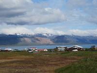 0230 Island -  Halbinsel Snaefellsnes - Arnastapi -