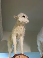 1061 Island - Südküste - Stopp in Skogar - Besuch im Museum