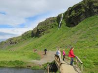 1093 Island - Südküste - Stopp am Seljallandwasserfall