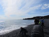 253 Island -  Halbinsel Snaefellsnes - Wanderung am Strand bei Dritvik Djupalonssandur