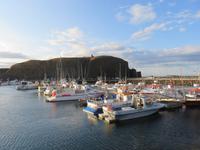 288 Island -  Halbinsel Snaefellsnes -Stykkisholmur - Hafen