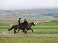 357 Island - Fahrt nach Akureyri - Besuch auf dem Pferdehof - Vorführung