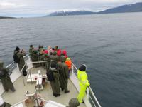 375 Island -  Akureyri - Walsafari