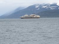 379 Island -  Akureyri - Walsafari