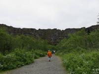 462 Island - Felsenschlucht Asbyrgi