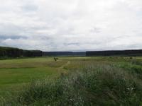 479 Island - Felsenschlucht Asbyrgi