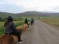 489 Island - Reitausflug -