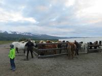 505 Island - Reitausflug