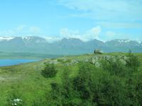 513 Island - Fahrt zum Mückensee