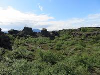 538 Island -  Dimmuborgir - Besuch der Schwarzen Burgen