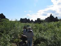 545 Island -  Dimmuborgir - Besuch der Schwarzen Burgen