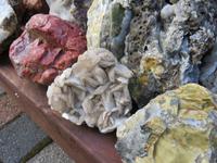 698 Island - Stödvarfjördur - Besuch in Petras Steinhaus