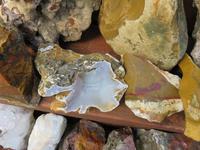 703 Island - Stödvarfjördur - Besuch in Petras Steinhaus