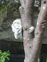 705 Island - Stödvarfjördur - Besuch in Petras Steinhaus