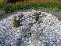 712 Island - Stödvarfjördur - Besuch in Petras Steinhaus