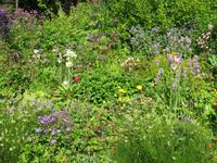 715 Island - Stödvarfjördur - Besuch in Petras Steinhaus
