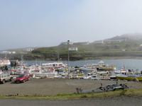 733 Island - Djupivogur