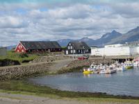 736 Island - Djupivogur