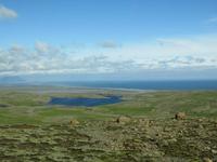 776 Island - Fahrt  zum Gletscher Vatnajökull - Blick zum Meer