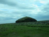 982 Island - Fahrt entlang der Südküste