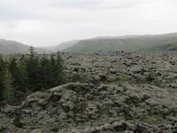 986 Island - Fahrt entlang der Südküste - Stopp am größten Lavafeld Islands
