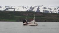 106_auf Walbeobachtungsfahrt - anderes Walbeonachtungsboot