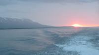 111_auf Walbeobachtungsfahrt - Sonnenuntergang