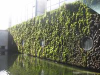 Fassadengestaltung am Rathaus