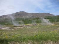 Haukadalur - Feld der heißen Quellen