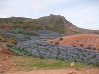 Auch das gehört zum Haukadalur
