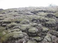 Im Nationalpark Thingvellir