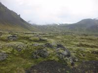 Leider hüllt sich der Snaefellsjökull in Wolken