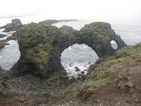 Vulkangstein - die idealen Nistplätze