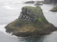 ... und noch mehr Nistplätze