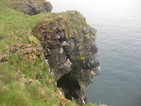 Nistplätze der Dreizehenmöven in den Granitfelsen