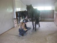 Vorbereitung für die Reitvorführung