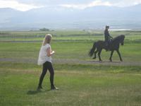 Bei der Reitvorführung