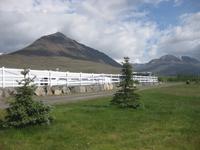 Auf dem Pferdehof Flugumyri