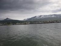 Bei der Walbeobachtung - Akureyri