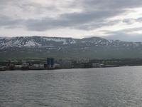 Bei der Walbeobachtung - Akureyri