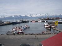 Der Hafen von Husavik